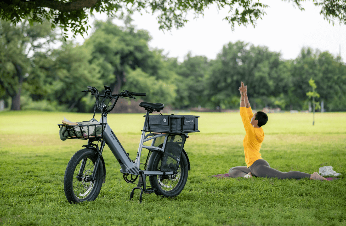 Velotric Go 1 – Vélo électrique souple et puissant